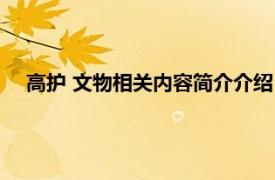 高护 文物相关内容简介介绍（高护 文物相关内容简介介绍）