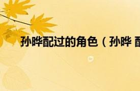 孙晔配过的角色（孙晔 配音演员相关内容简介介绍）