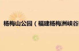 杨梅山公园（福建杨梅洲峡谷国家森林公园相关内容简介介绍）