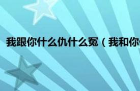 我跟你什么仇什么冤（我和你什么仇什么冤相关内容简介介绍）