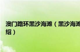 澳门路环黑沙海滩（黑沙海滩 中国澳门黑沙海滩相关内容简介介绍）