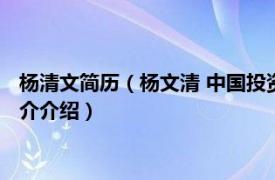 杨清文简历（杨文清 中国投资有限责任公司纪委书记相关内容简介介绍）