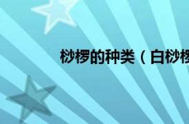 桫椤的种类（白桫椤属相关内容简介介绍）