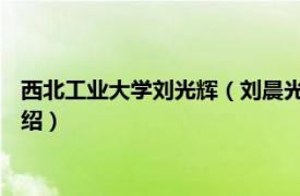 西北工业大学刘光辉（刘晨光 西北工业大学教授相关内容简介介绍）