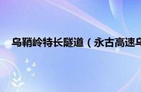 乌鞘岭特长隧道（永古高速乌鞘岭隧道群相关内容简介介绍）