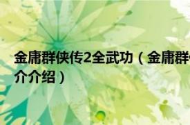 金庸群侠传2全武功（金庸群侠传2无敌版之武林至尊相关内容简介介绍）