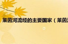 莱茵河流经的主要国家（莱茵河 欧洲河流名相关内容简介介绍）