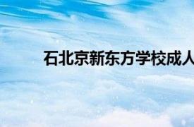 石北京新东方学校成人听、说、读、写教师简介