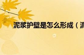 泥浆护壁是怎么形成（泥浆护壁相关内容简介介绍）