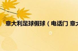 意大利足球假球（电话门 意大利假球事件相关内容简介介绍）