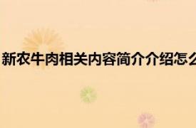 新农牛肉相关内容简介介绍怎么写（新农牛肉相关内容简介介绍）