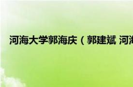 河海大学郭海庆（郭建斌 河海大学副教授相关内容简介介绍）