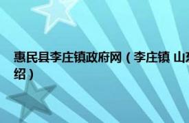 惠民县李庄镇政府网（李庄镇 山东省滨州市惠民县下辖镇相关内容简介介绍）