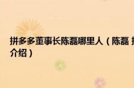 拼多多董事长陈磊哪里人（陈磊 拼多多联合创始人、董事长相关内容简介介绍）