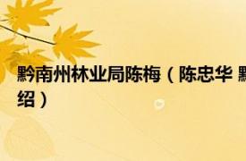 黔南州林业局陈梅（陈忠华 黔南州林业局副局长相关内容简介介绍）