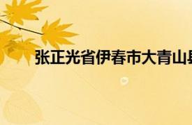 张正光省伊春市大青山县财政局局长相关内容简介