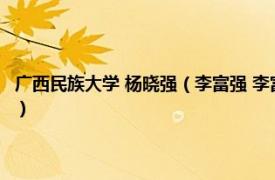 广西民族大学 杨晓强（李富强 李富强 广西民族大学教授相关内容简介介绍）