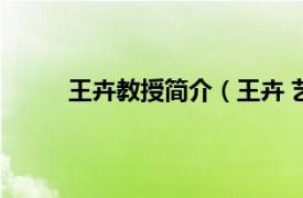 王卉教授简介（王卉 艺术家相关内容简介介绍）