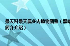 景天科景天属多肉植物图鉴（黑暗女神 景天科长生草属多肉植物相关内容简介介绍）