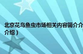 北京花鸟鱼虫市场相关内容简介介绍一下（北京花鸟鱼虫市场相关内容简介介绍）