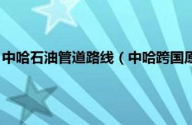 中哈石油管道路线（中哈跨国原油管道计量站相关内容简介介绍）