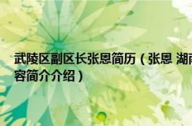 武陵区副区长张恩简历（张恩 湖南省常德市武陵区人民政府副区长相关内容简介介绍）