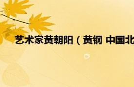 艺术家黄朝阳（黄钢 中国北京籍艺术家相关内容简介介绍）