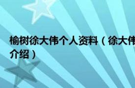 榆树徐大伟个人资料（徐大伟 吉林榆树市黑恶人员相关内容简介介绍）