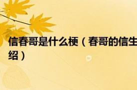 信春哥是什么梗（春哥的信生活2：信春哥信生活相关内容简介介绍）