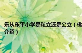 乐从东平小学是私立还是公立（佛山市顺德区乐从镇东平小学相关内容简介介绍）