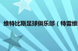 维特比斯足球俱乐部（特雷维索足球俱乐部相关内容简介介绍）