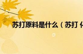 苏打原料是什么（苏打 化工原料相关内容简介介绍）