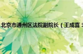 北京市通州区法院副院长（王成喜 北京通州法院副院长相关内容简介介绍）