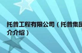 托普工程有限公司（托普集团科技发展有限责任公司相关内容简介介绍）