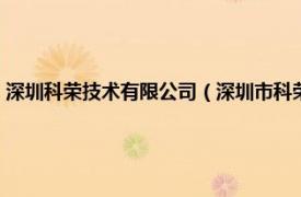 深圳科荣技术有限公司（深圳市科荣软件股份有限公司相关内容简介介绍）