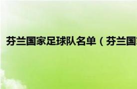 芬兰国家足球队名单（芬兰国家男子足球队相关内容简介介绍）