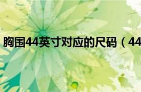 胸围44英寸对应的尺码（44英寸的胸围相关内容简介介绍）