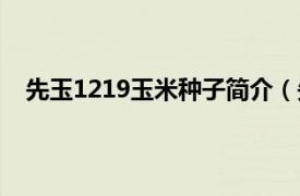 先玉1219玉米种子简介（先玉1219相关内容简介介绍）