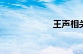 王声相关内容简介