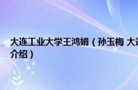 大连工业大学王鸿娟（孙玉梅 大连工业大学研究生学院教授相关内容简介介绍）