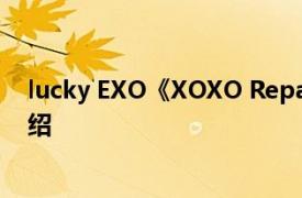 lucky EXO《XOXO Repackage》收录曲相关内容简介介绍