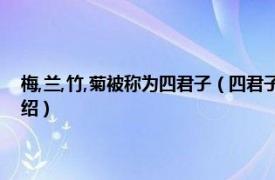 梅,兰,竹,菊被称为四君子（四君子 梅、兰、竹、菊的别称相关内容简介介绍）