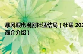 暴风眼电视剧杜猛结局（杜猛 2021年电视剧《暴风眼》中的角色相关内容简介介绍）