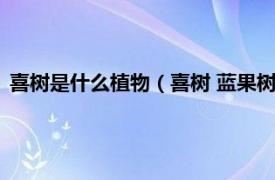 喜树是什么植物（喜树 蓝果树科喜树属植物相关内容简介介绍）