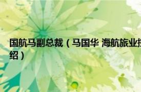 国航马副总裁（马国华 海航旅业控股  集团  有限公司总裁相关内容简介介绍）