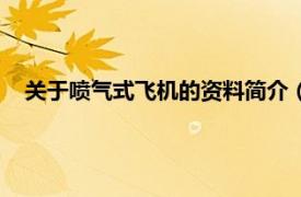 关于喷气式飞机的资料简介（喷气式飞机相关内容简介介绍）