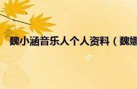 魏小涵音乐人个人资料（魏娜 原创音乐人相关内容简介介绍）