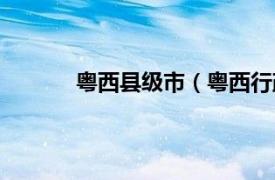 粤西县级市（粤西行政区相关内容简介介绍）