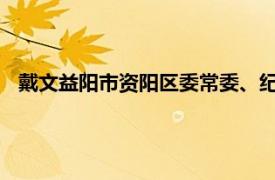 戴文益阳市资阳区委常委、纪委书记、监委主任相关内容简介