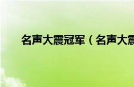 名声大震冠军（名声大震第一季相关内容简介介绍）